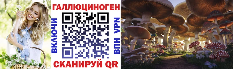 Галлюциногенные грибы мицелий  купить наркоту  hydra зеркало  Бежецк 